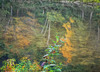 Autumn Reflection in a mountain stream