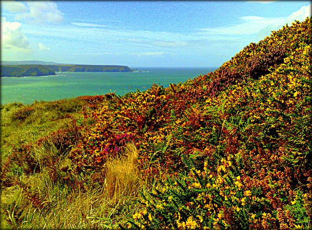 Crane Castle, North Cliffs, Cornwall