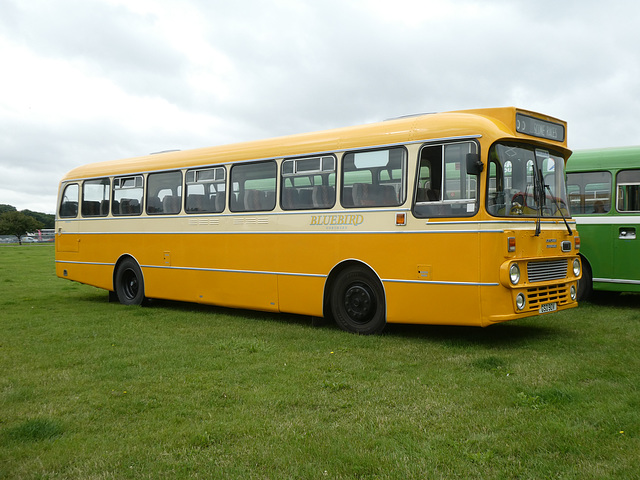 Buses Festival, Peterborough - 8 Aug 2021 (P1090347)