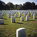 Veterans' Cemetery (1)