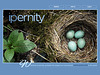 ipernity homepage with #1593