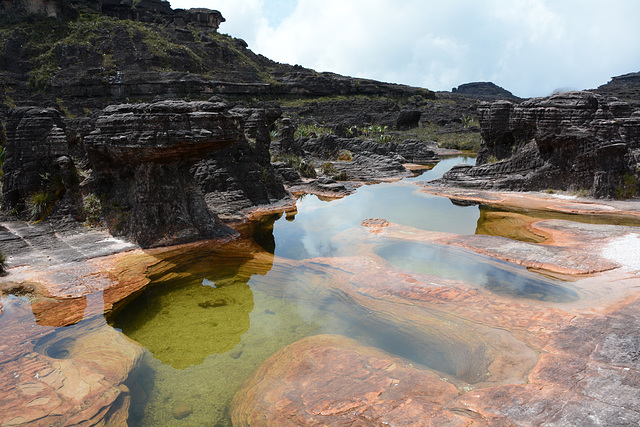Venezuela, Water Pool at the Surface of the Tepui of Roraima
