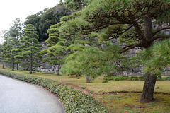 Tokyo, In the Garden of the Imperial Palace