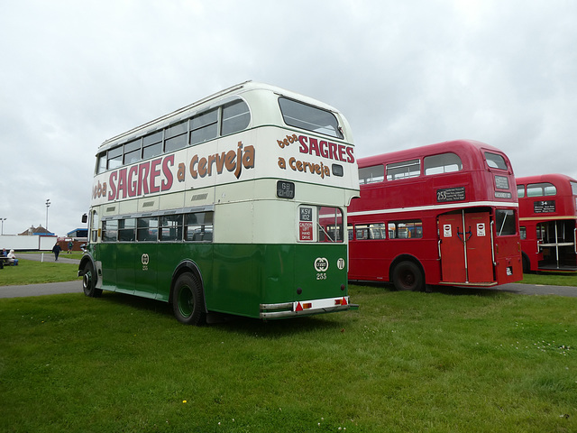 Buses Festival, Peterborough - 8 Aug 2021 (P1090364)