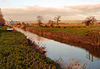 HFF from The Somerset Levels.