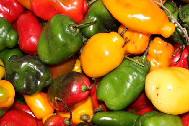 Brightly colored peppers