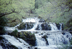 The Avich Falls near Dalavich,Argyll 22nd May 1989.