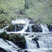 The Avich Falls near Dalavich,Argyll 22nd May 1989.