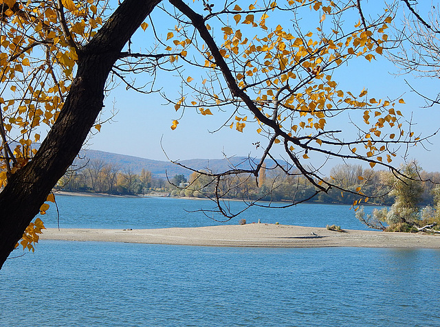 The Danube in Zebegény