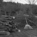 Twigs, logs and a rake