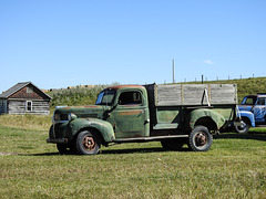 Old farm trucks