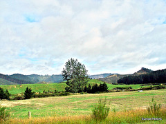 Rural Landscape.