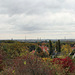 Panoramablick von der Halde Welheim (2)