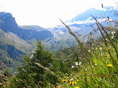 Simplon Pass,Suisse