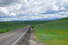 The road to Pullman