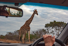 South Africa by Car 3