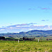 Rural South Waikato