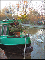narrowboat Christmas tree