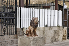 Lion of Acco – Zigord Sha’ar Nikanor Street, Acco, Israel