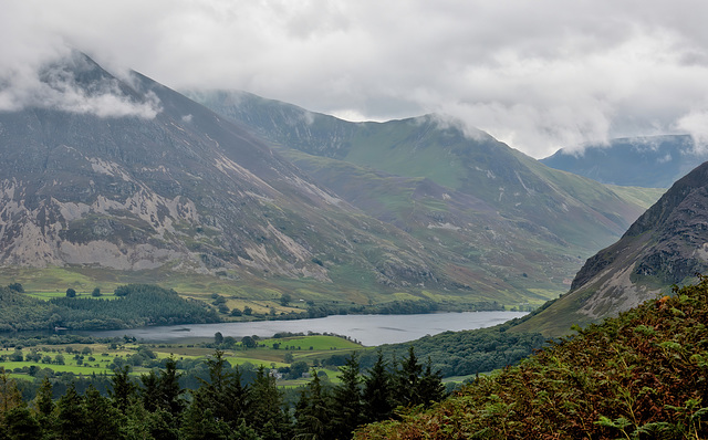 High view to Crummock Water
