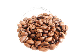 coffee beans 510
