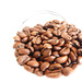 coffee beans 510
