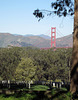 San Francisco National Cemetery (3046)