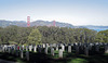 San Francisco National Cemetery (3047)