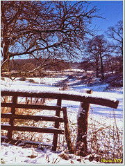 Fence in winter clothes - HFF