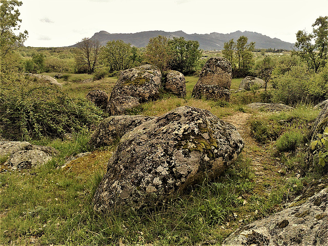 H. A. N. W. E., everyone! Near Las Navas de Buitrago, lichen playground! (best on full screen).