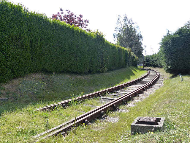 Disused Track, Hamble (2) - 16 May 2020