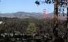 San Francisco National Cemetery & Golden Gate Bridge (3045)
