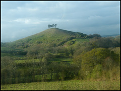 Colmer's Hill, Symondsbury