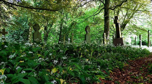 Bothal Churchyard. Northumberland