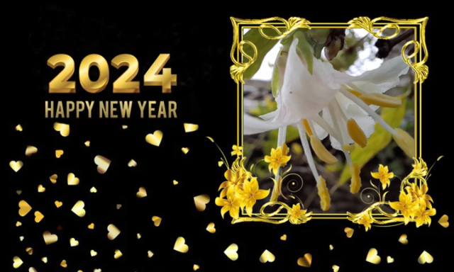 Joyeuses Fêtes et Bonne Année 2024 !