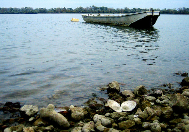 Boat on the Danube