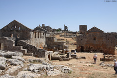 Siria - Serjilla - Città morta Bizantina