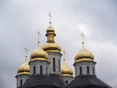 Чернигов, Золотые купола Екатерининской церкви / Chernigov, The Golden Domes of the Church of St.Catherine