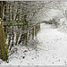snowy path to Ayot