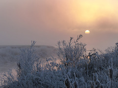 A foggy, frosty sunrise