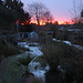 Back garden, dawn, late January, with a bit of snow