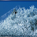 Allgäu Winter Wonderland... ©UdoSm