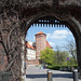 Poland, Krakow Wawel Castle (#2406)
