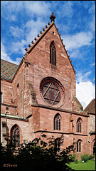 Das Basler Münster mit Davidstern