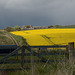 HFF  -  Rapeseed fields, gates and fences.