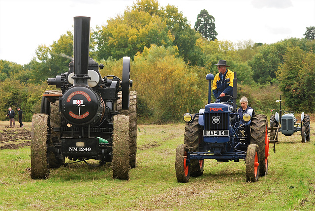 'Sunrise'  and unidentified Fordson