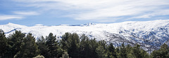 Sierra Nevada (Granada)