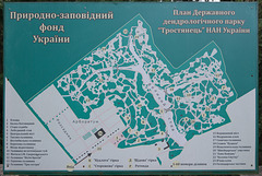 Die Karte vom Arboretum Trostjanez