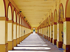 Colonial arches