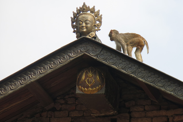A Swayambhunath (Kathmandu, Népal)